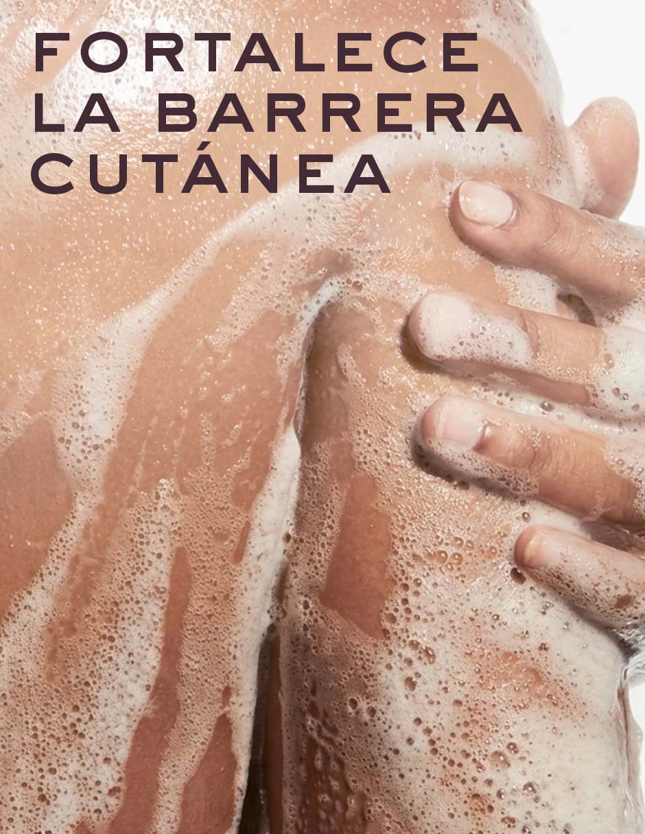 Limpiador rostro y cuerpo Reve de miel para hidratar Limpiador rostro y cuerpo Reve de miel para hidratar