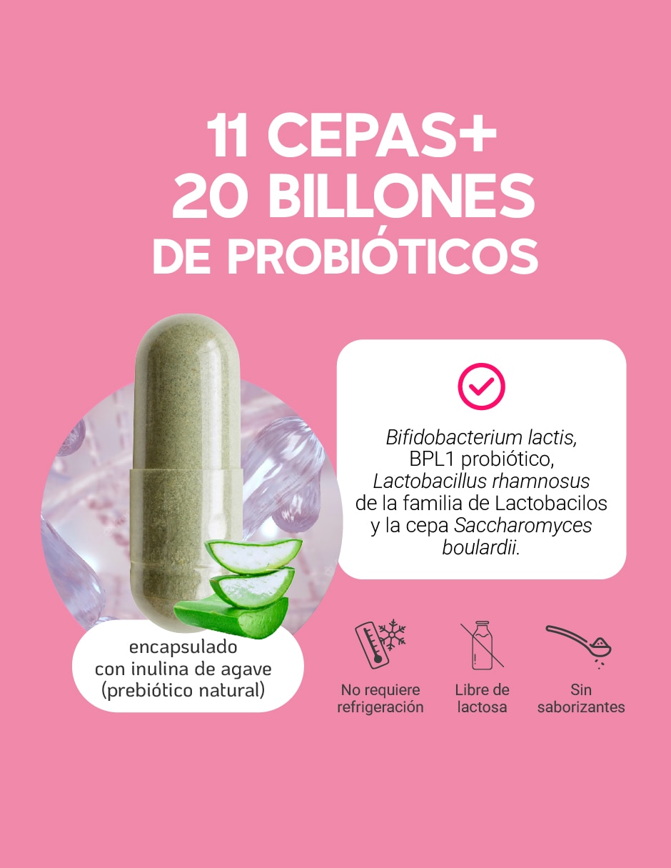 11 Cepas Megabiotic con Inulina de Agave Lactobacillus Acidophilus de 60 cápsulas
