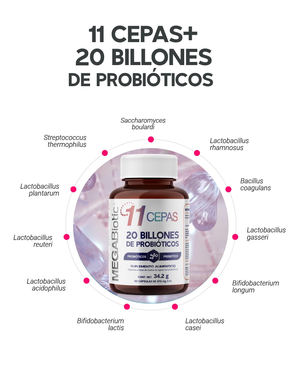 11 Cepas Megabiotic con Inulina de Agave Lactobacillus Acidophilus de 60 cápsulas