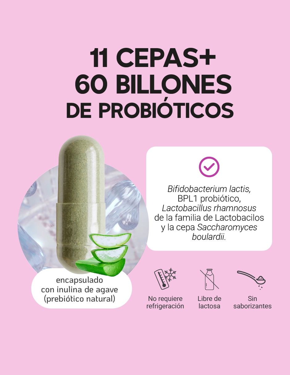 Probióticos 60 billones y 11 cepas e inulina de agave megabiotic "con" enzimas digestivas y probióticos "sabor" sin sabor "de" sin tamaño