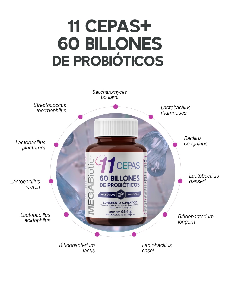 Probióticos 60 billones y 11 cepas e inulina de agave megabiotic "con" enzimas digestivas y probióticos "sabor" sin sabor "de" sin tamaño