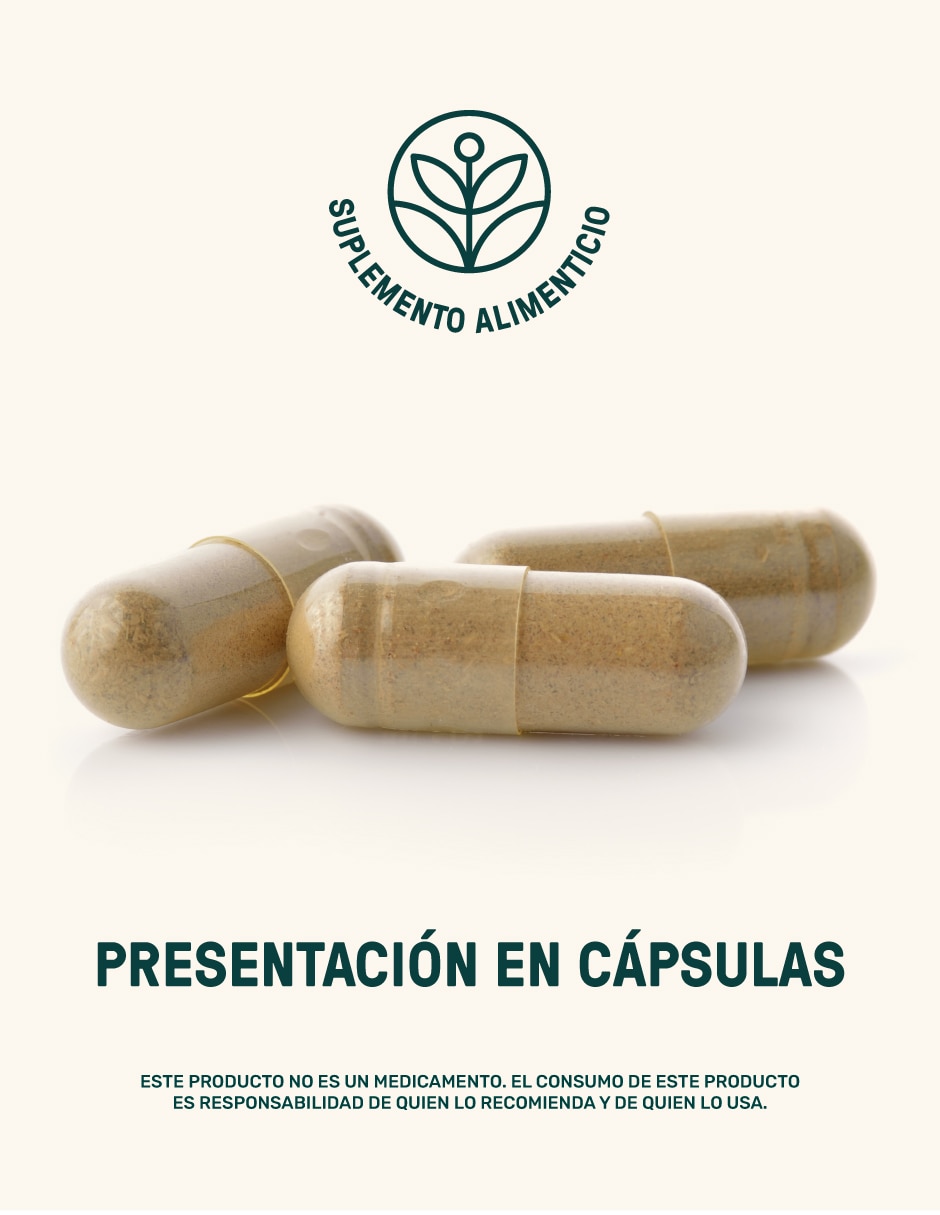 Probióticos 60 billones y prebióticos inulina de agave de 160 cápsulas 6