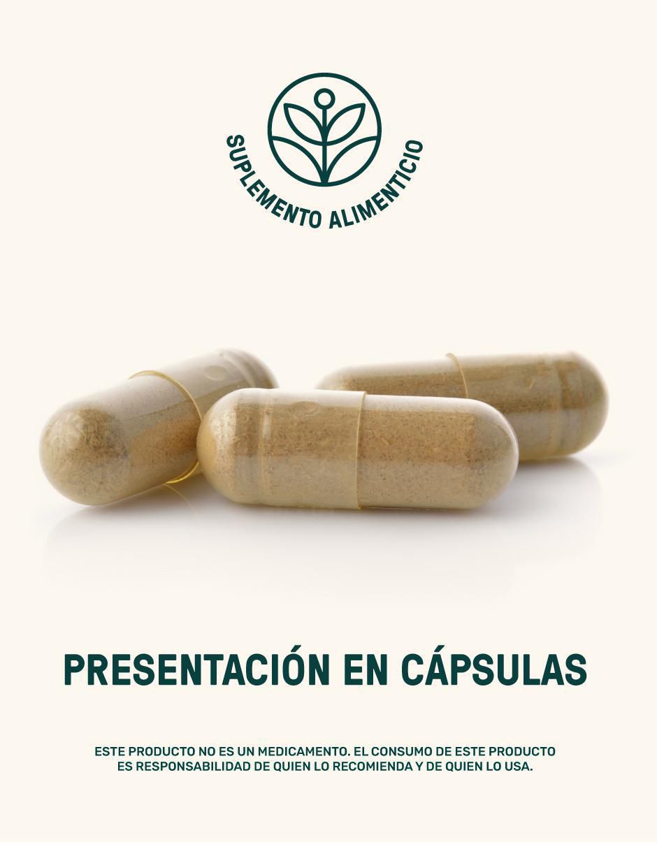Set de suplementos omega 3 salmon oil + magnesium mix 4 tipos de magnesio Life360+