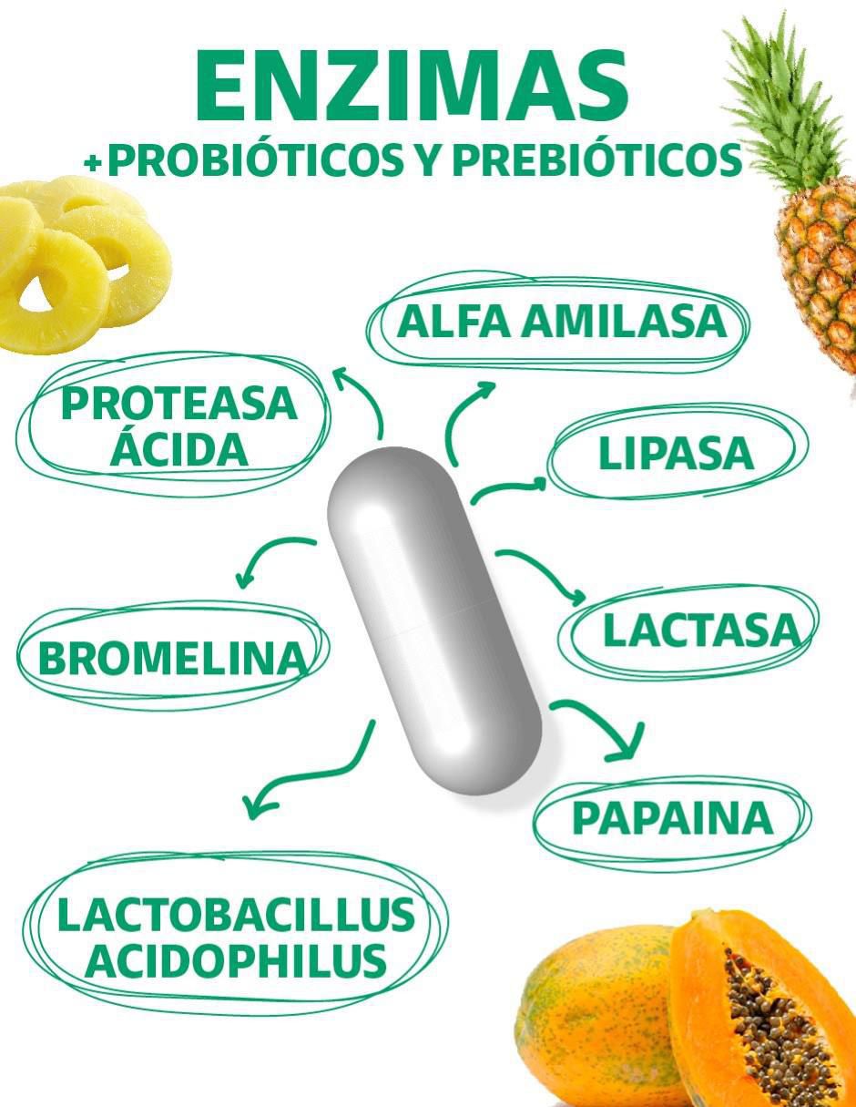 Enzimas Digestivas, Probióticos y Prebióticos con enzimas digestivas y probióticos sabor original de 180 cápsulas 5