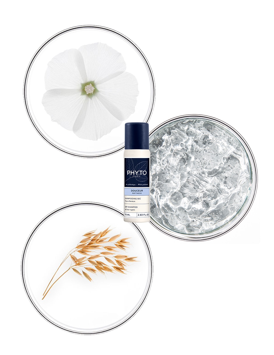 Shampoo en seco para cabello Softness Phyto 70 ml