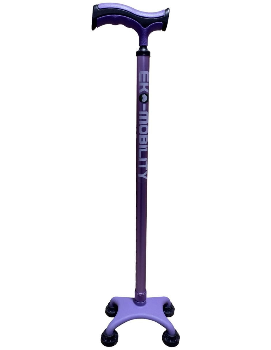 Morado 2