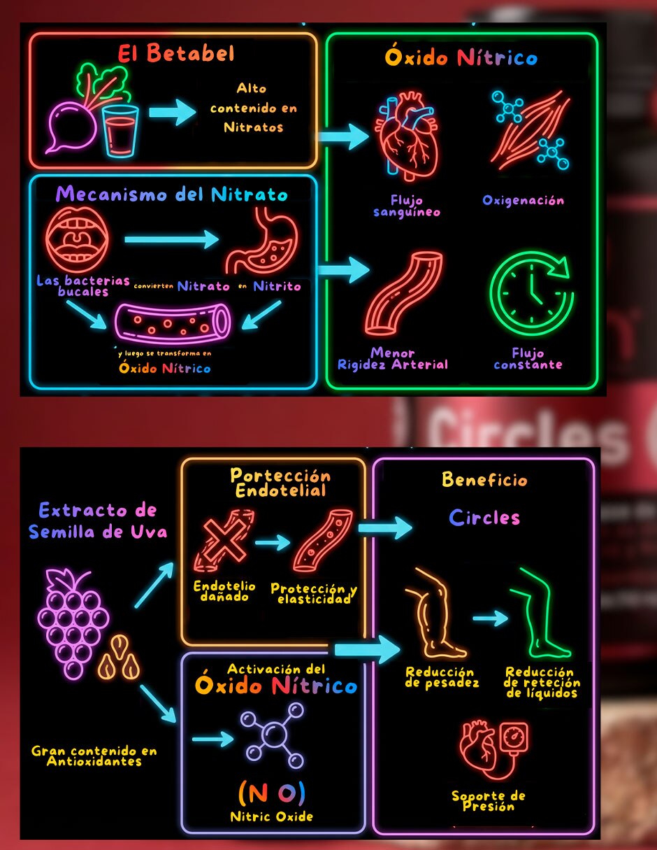 NSN Dynamic Circulation con arginina de 90 cápsulas 8