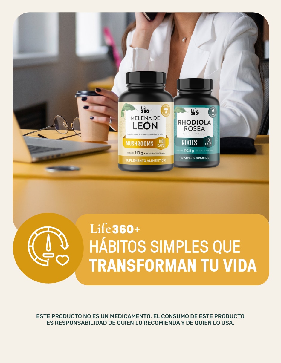 Melena de León Mushrooms 3