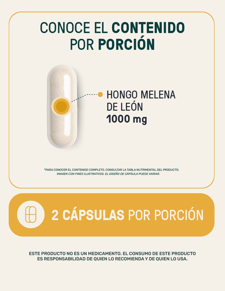 Melena de León Mushrooms 6