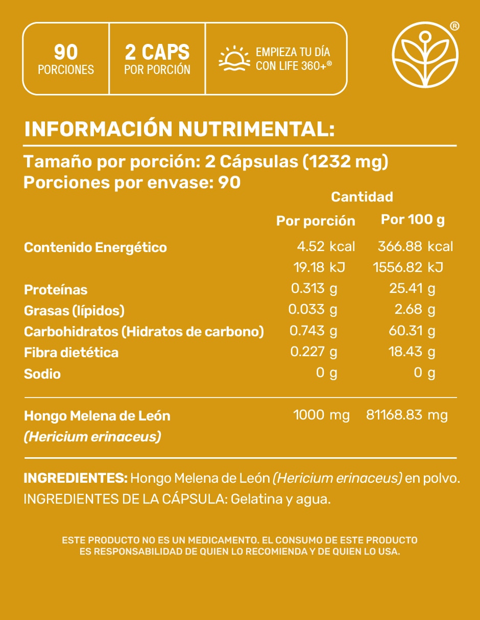 Melena de León Mushrooms 8