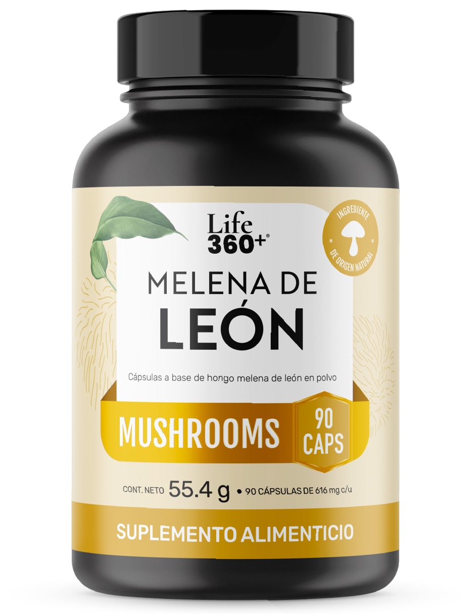 Melena de León Mushrooms Melena de León Mushrooms