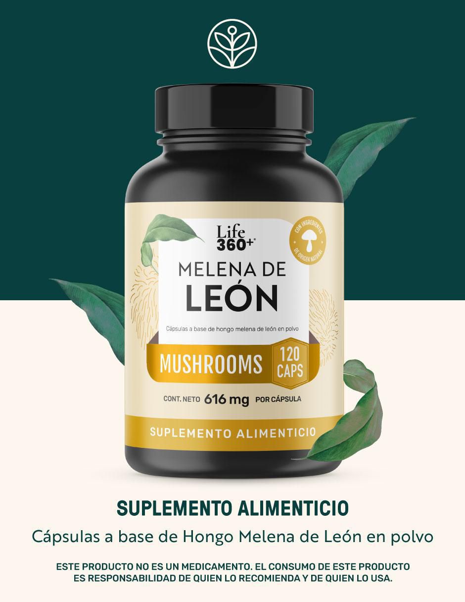Melena de León Mushrooms 7
