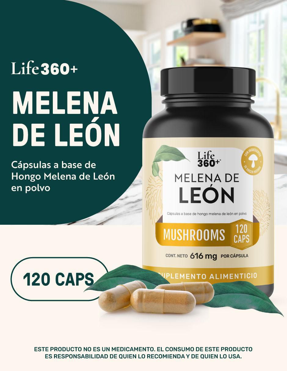 Melena de León Mushrooms 4