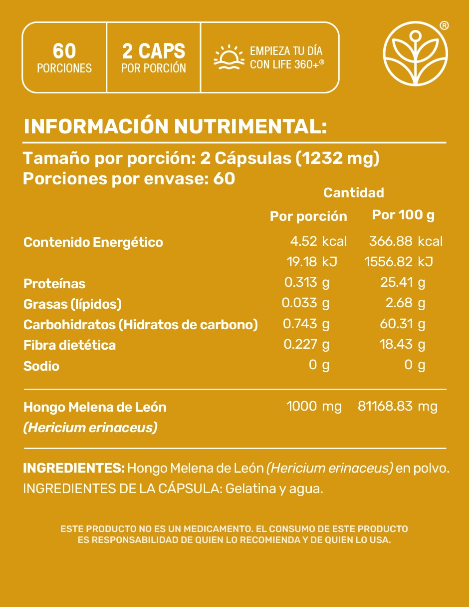 Melena de León Mushrooms 6