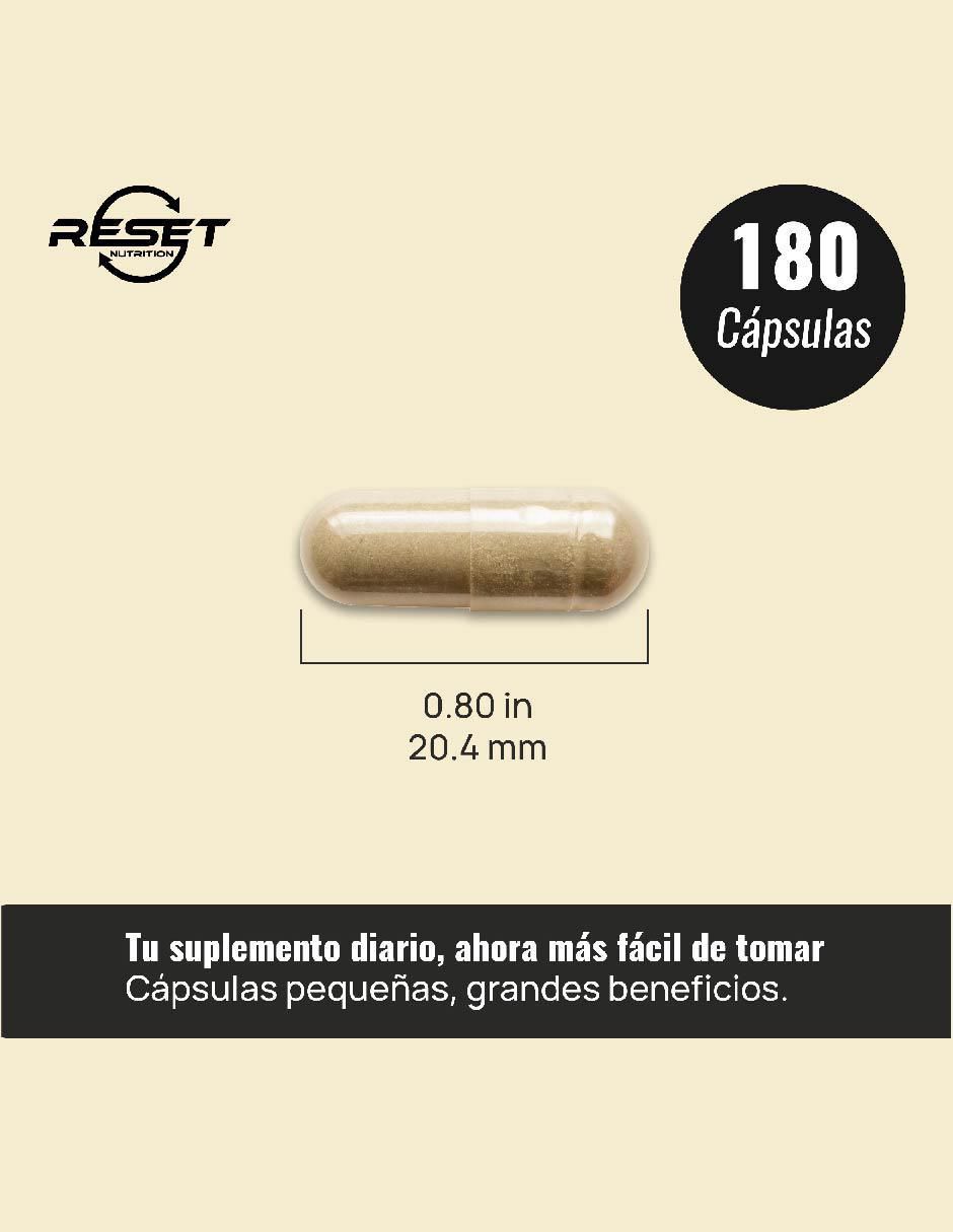 Mushroom Complex 10 Hongos Adaptógenos para Energía, Memoria, Inmunidad y Antioxidantes con hongos cola de pavo reishi maitake shiitake y chaga