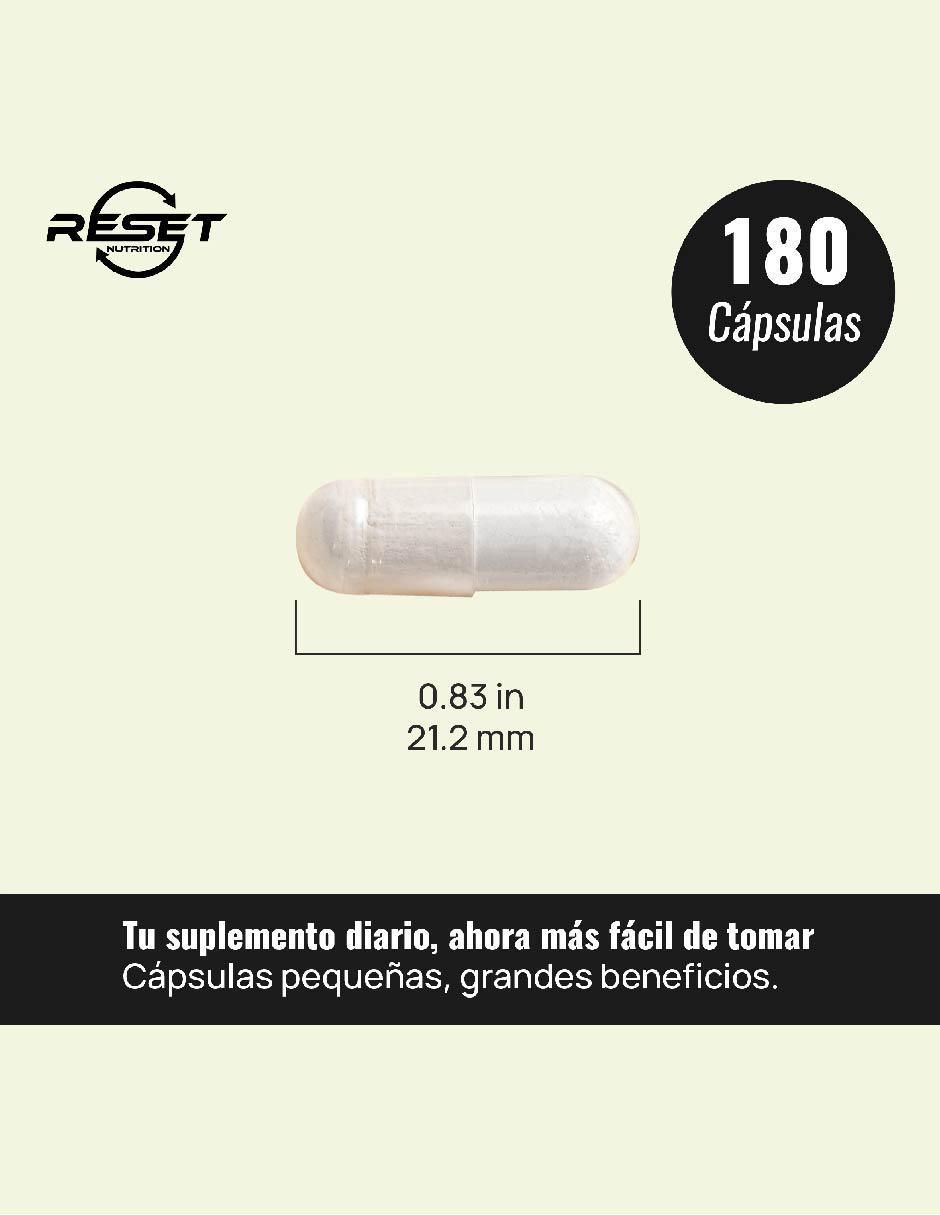 NAC 600 mg Desintoxicación Hepática, Antioxidante Celular y Apoyo Mental Natural con N-Acetyl Cysteine