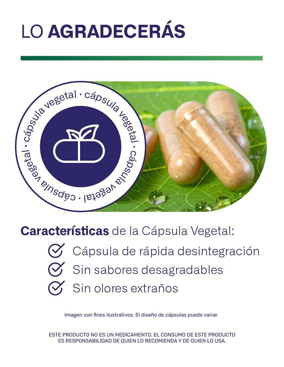 2 Fibras prebiotic con inulina de agave, lactobacillus acidophilus de 120 cápsulas 4