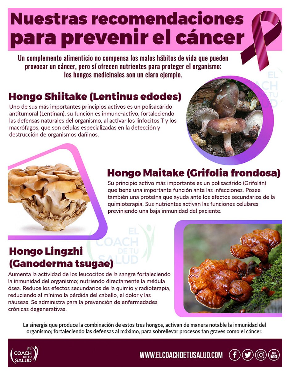 Suplemento alimenticio hongos shiitake maitake y lingzhi de 900 ml 4