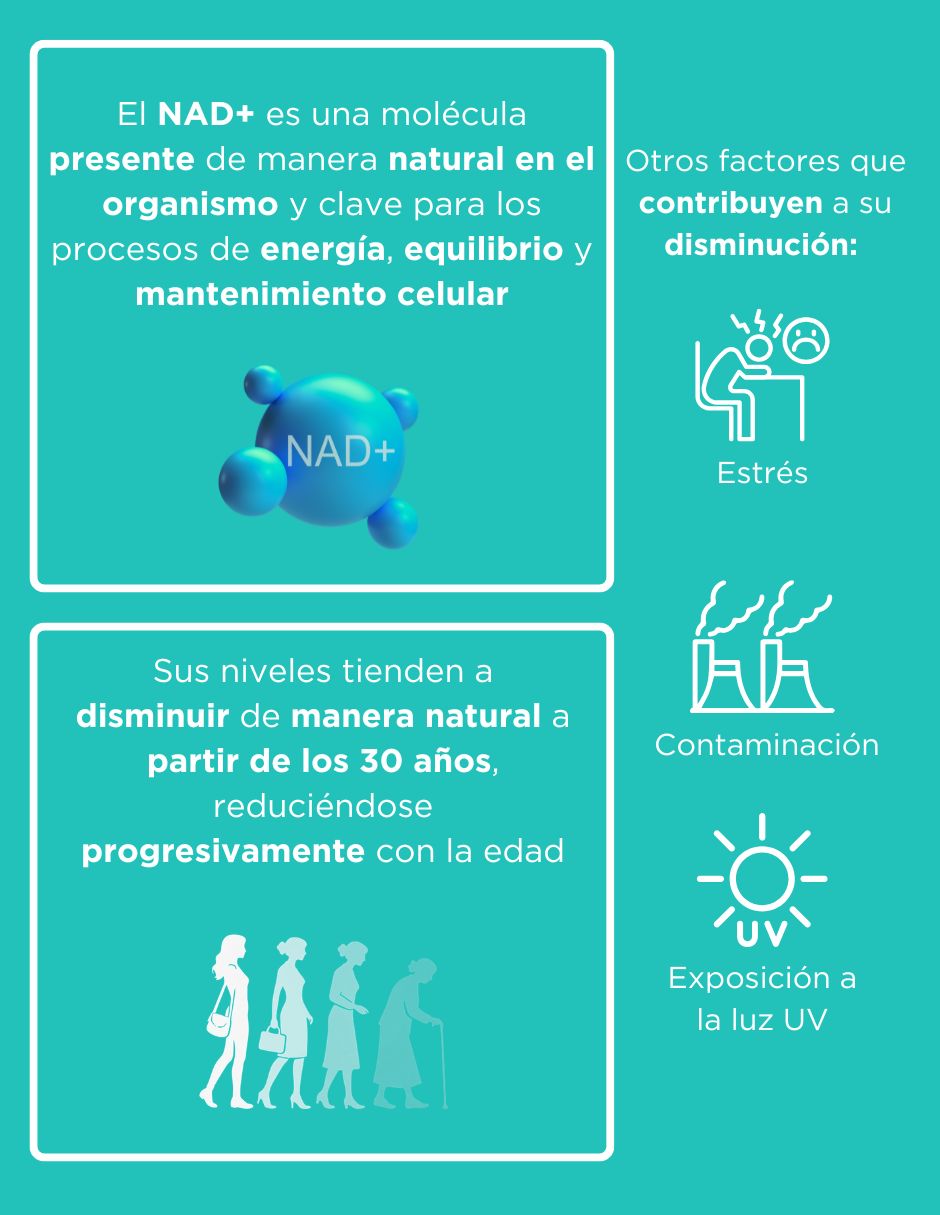 NAD+ NR y Resveratrol Life 180 de 60 cápsulas