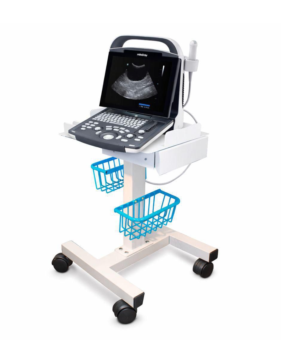 Máquina para ultrasonido facial y corporal con 1 cabezal
