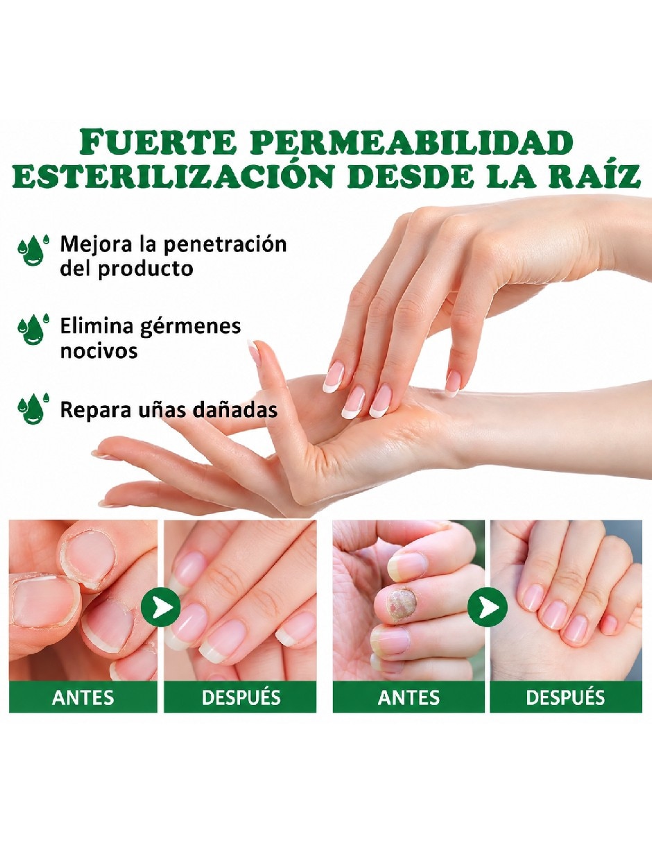 Antimicóticos 2