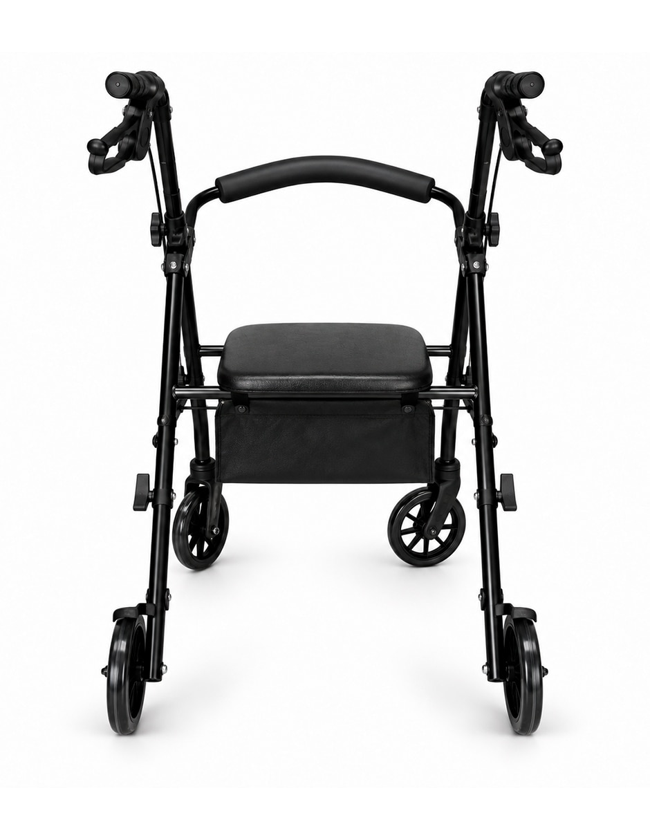 Andadera 136291