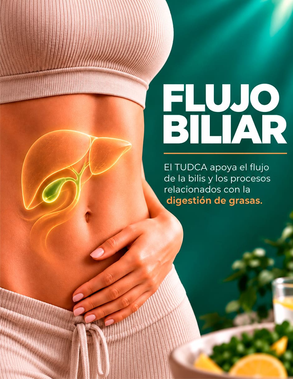 TUDCA 1200 mg Apoyo Hepático Flujo Biliar de 120 cápsulas 6
