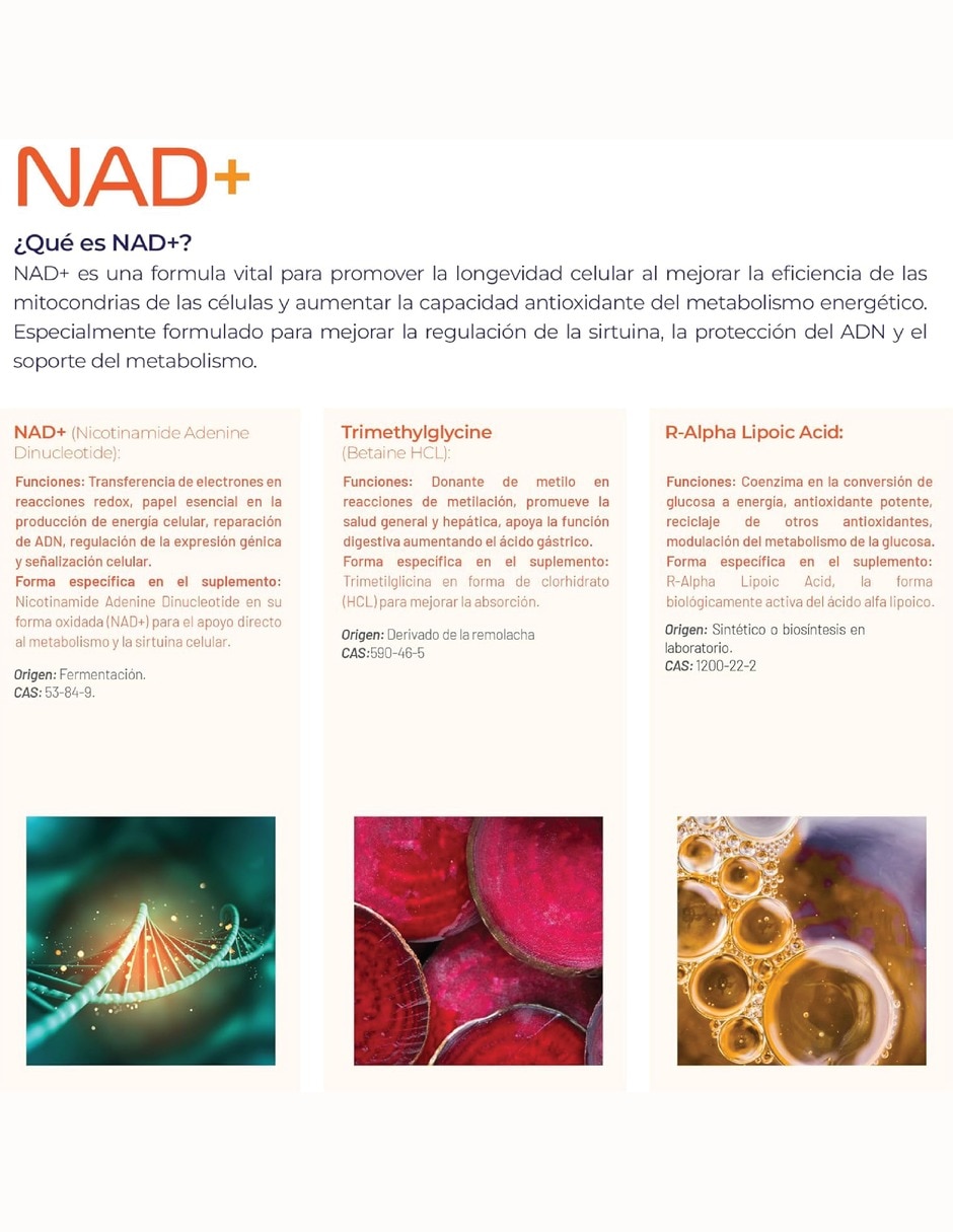 NAD+ Puro con TMG ácido R-alfa lipoico café verde y sulforafano de 200 cápsulas