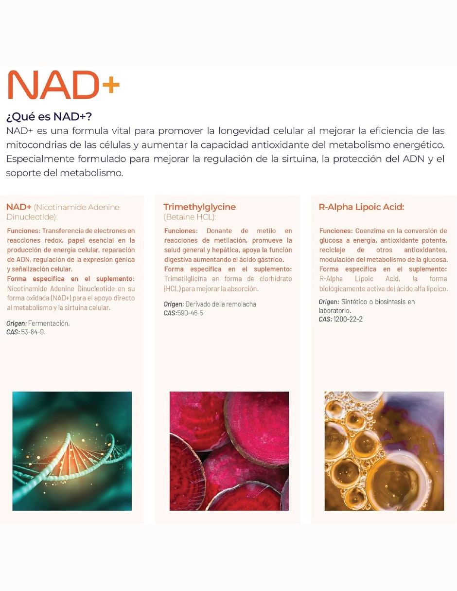 NAD+ Puro con TMG ácido R-alfa lipoico café verde y sulforafano de 100 cápsulas