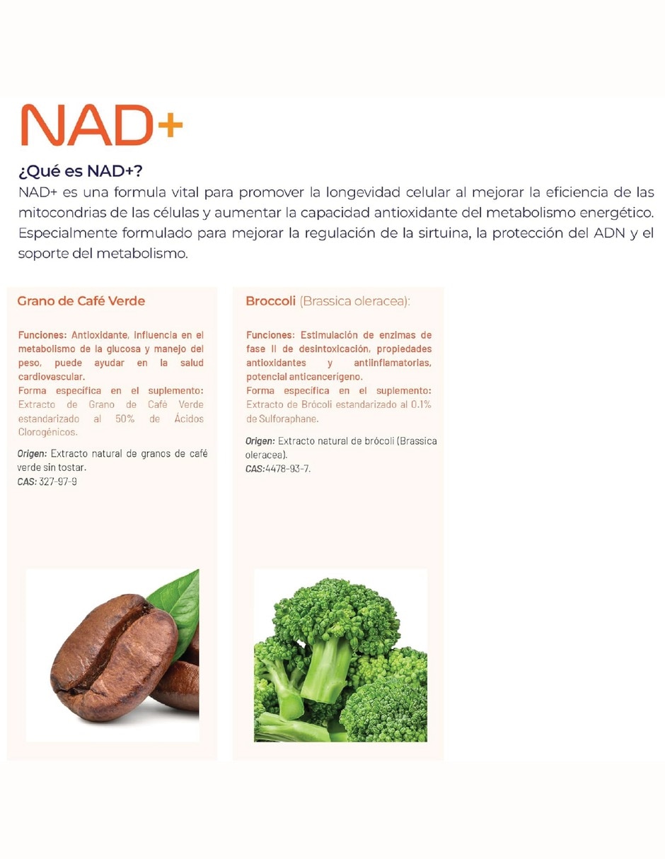 NAD+ Puro con TMG ácido R-alfa lipoico café verde y sulforafano de 100 cápsulas 5