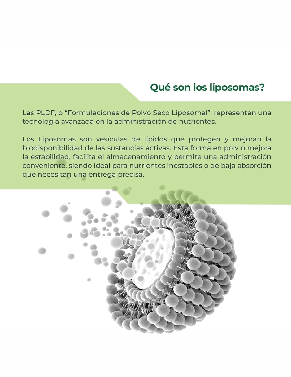 Vitamina D3 + K2 Liposomal con MK7 y MK4 Salud Ósea con vitamina K2 vitamina D3 vitamina E vitamina B6 vitamina B12 folato magnesio MCT lecitina
