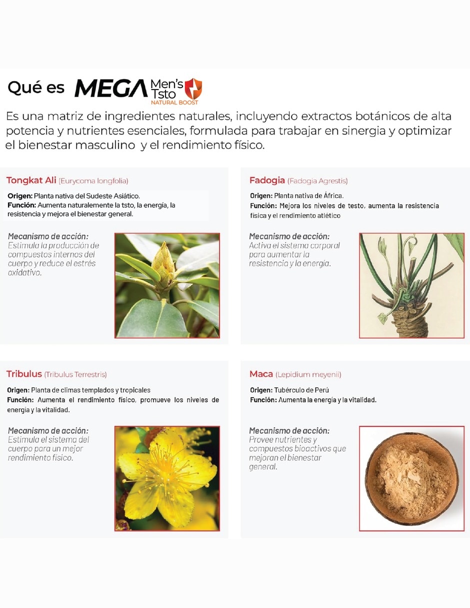 Mega Men's Testo con Tongkat Ali 1 Fuerza y Energía con Tribulus tongkat ali y maca 8