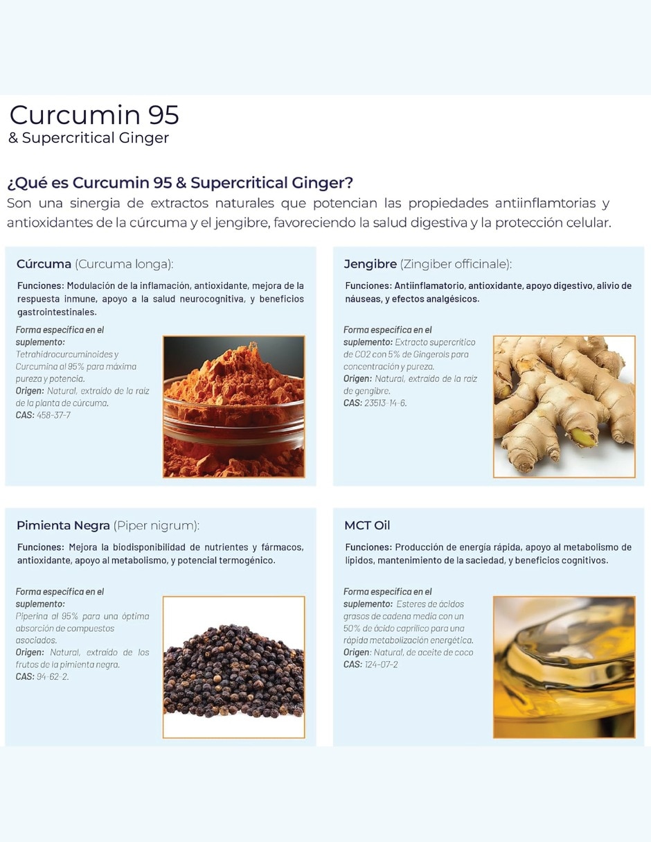 Cúrcuma 95% con jengibre MCT lecitina de girasol piperina de 100 cápsulas